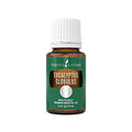 Eucalyptus Globulus essential oil - 15ml