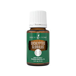 Eucalyptus Globulus essential oil - 15ml